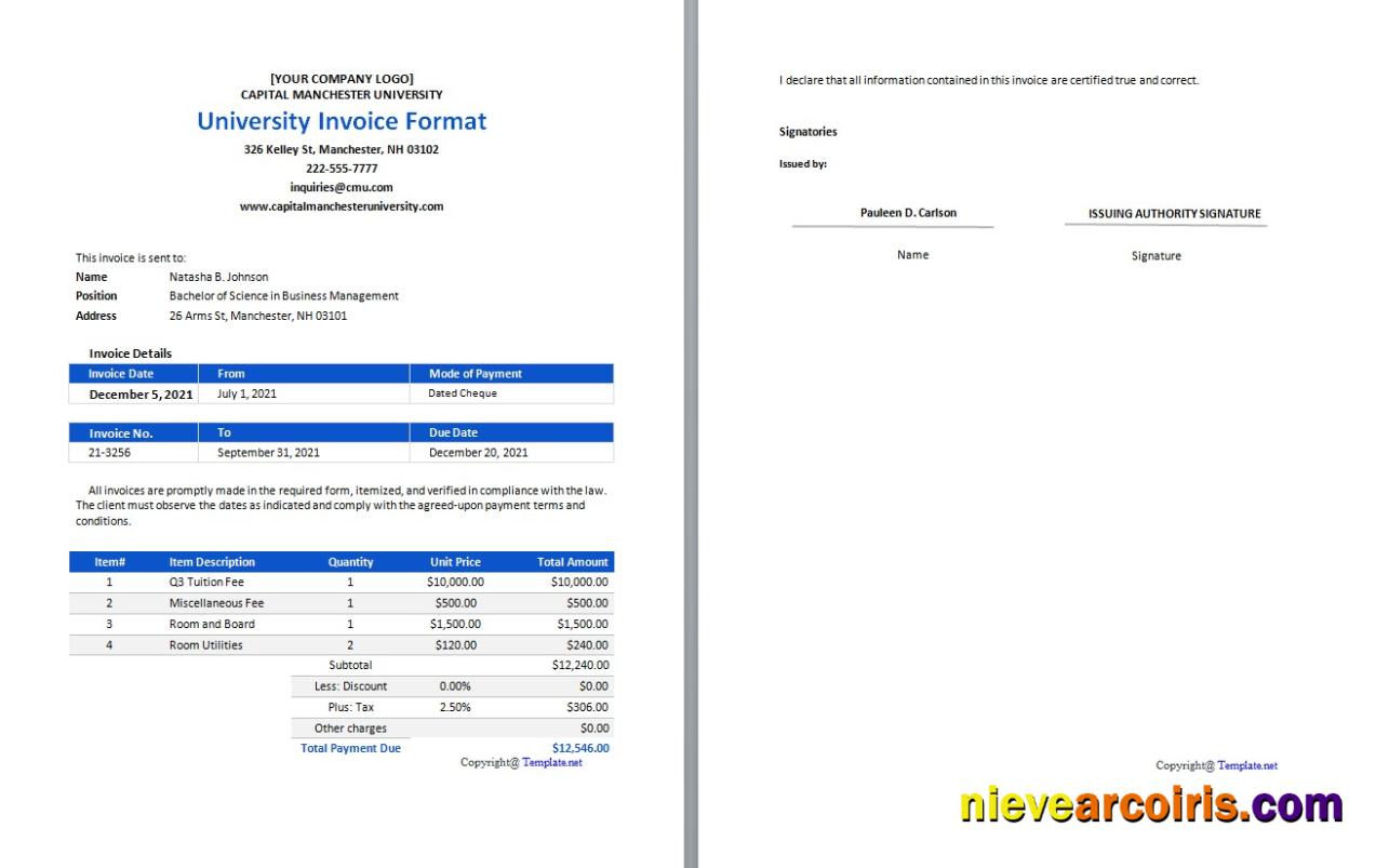 Free University Invoice Format